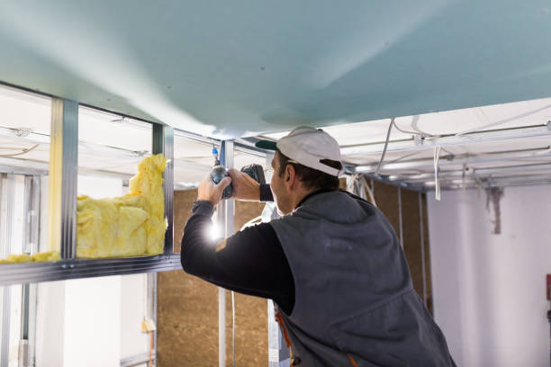 Best Insulation Inspection Services  in Rugby, ND